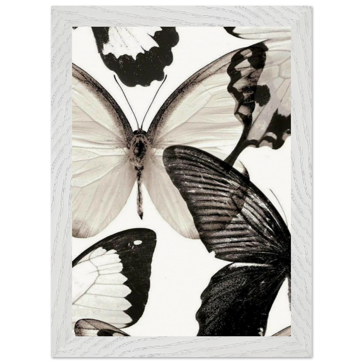 22e740b7-ad6d-4d91-aa19-46c2db4b905a