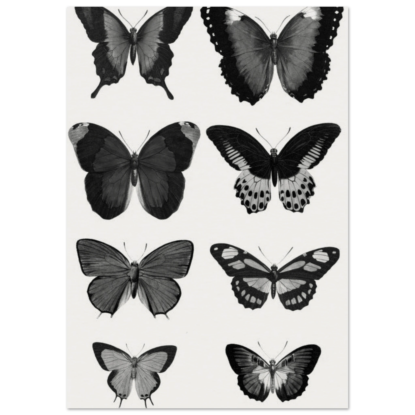 4b274feb-ee43-4898-86b5-ee720e171a38