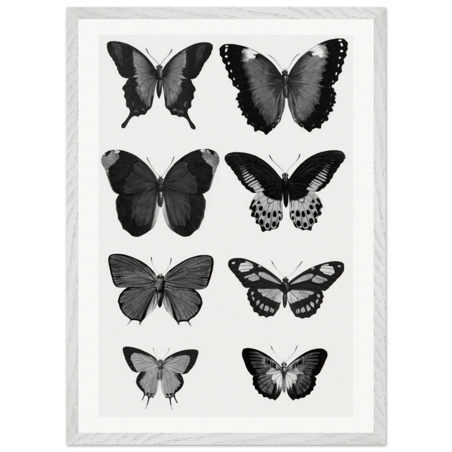 d8b22a2d-a157-46de-9aa1-66d361e39d15