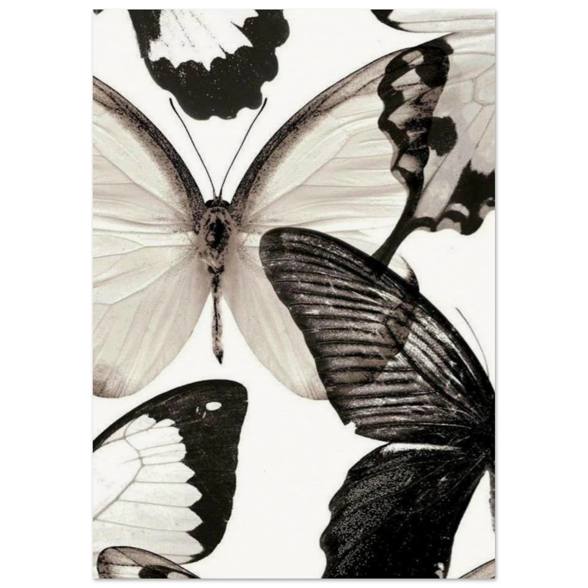 18701689-f6c8-43e1-86ad-7f7e8694dd5c