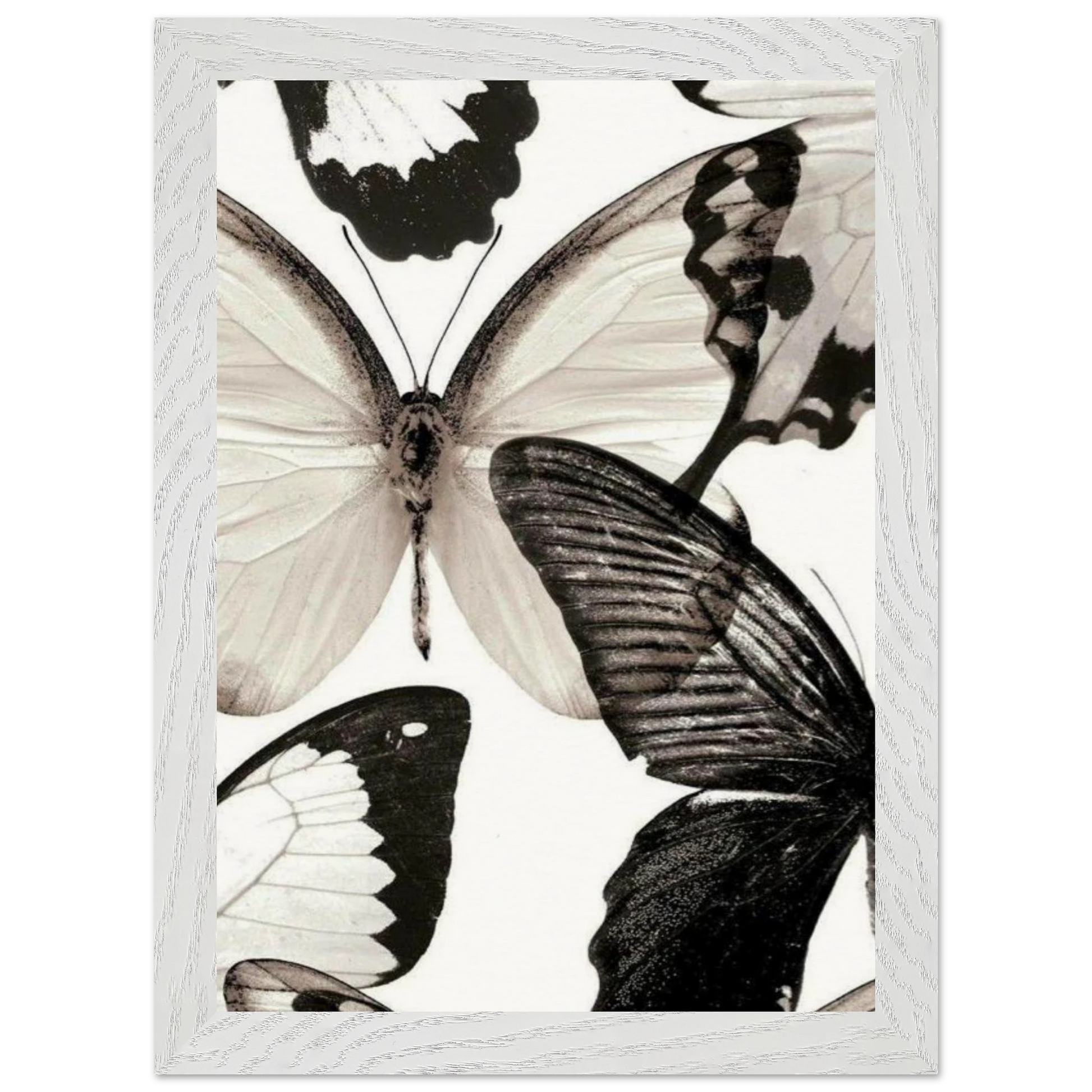 22e740b7-ad6d-4d91-aa19-46c2db4b905a