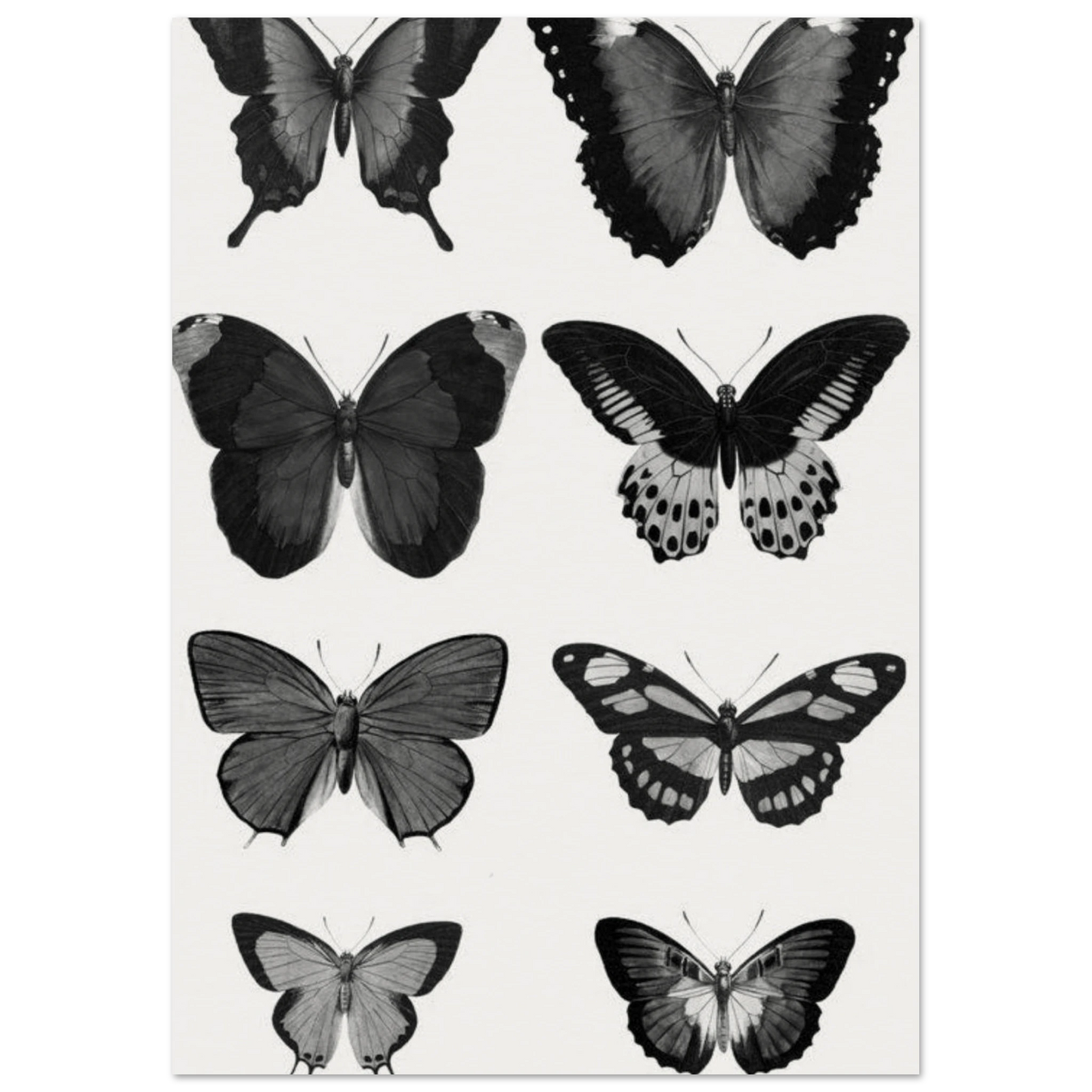 451f52e5-d7f7-4524-b251-7244d62538d9