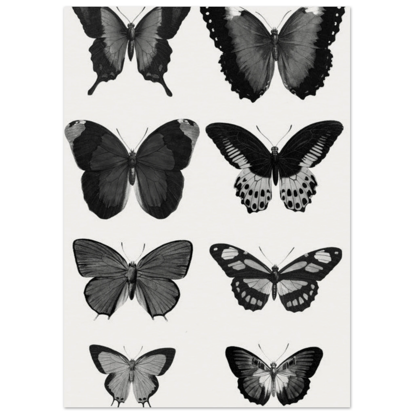 498423e2-429e-41f5-a5ff-84d6ca4ed4ec