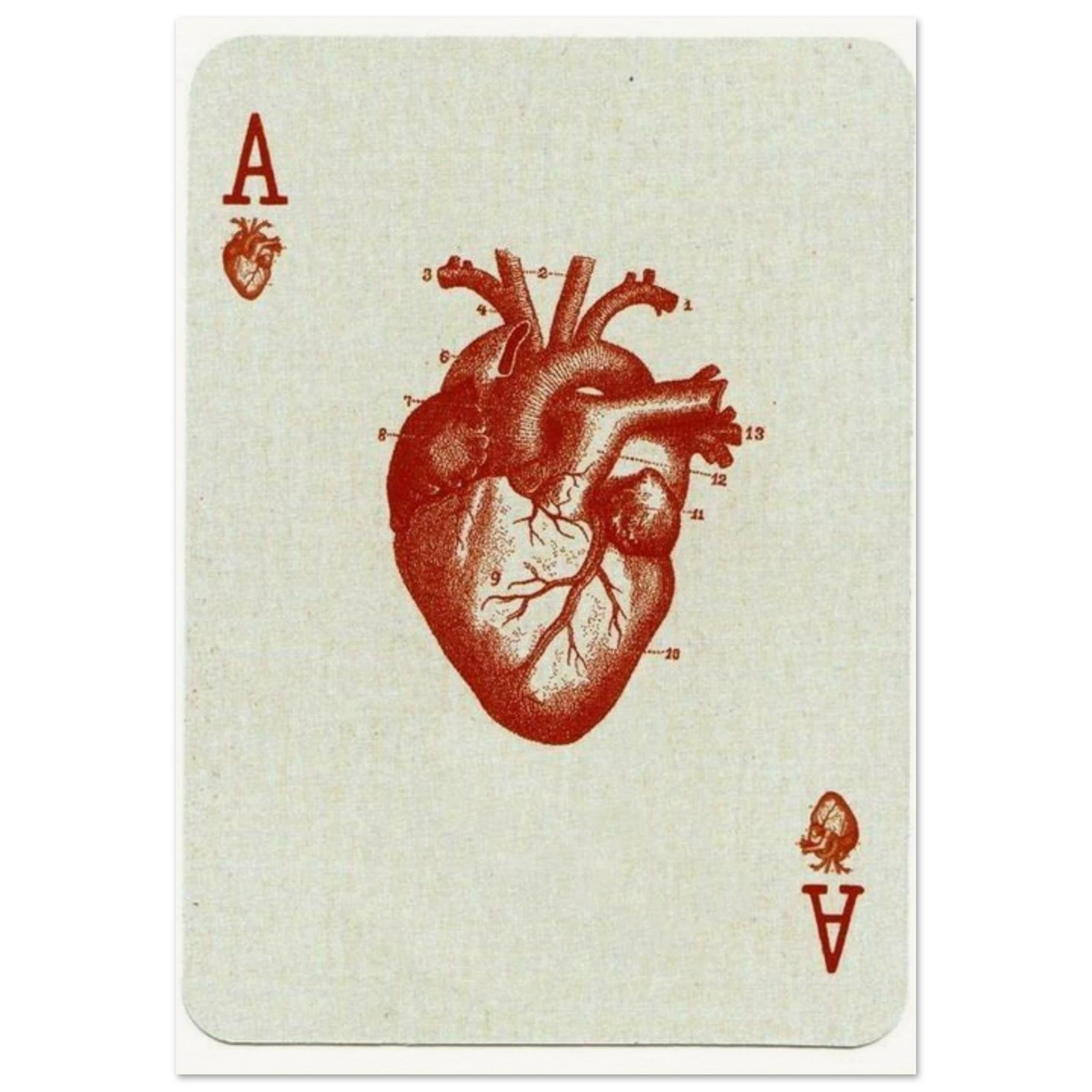 5c73ebc2-c227-4c99-a880-b57168e7d3b8