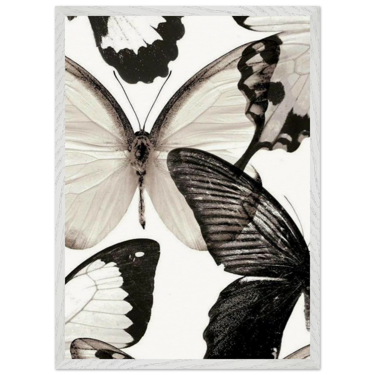 807a0c7e-2a5e-4da3-b00e-b78d7218563c