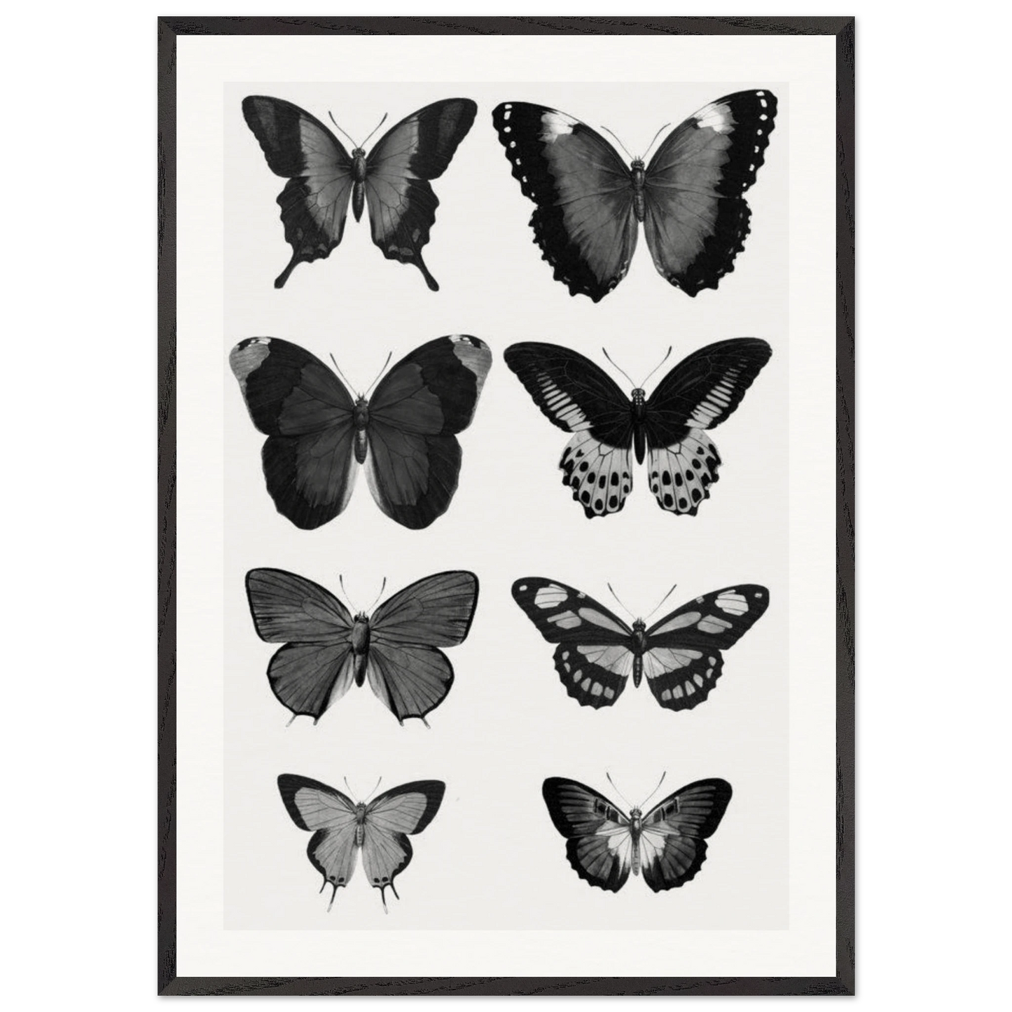 91d8f24e-bb36-4dac-92d8-b0a8fbeafb41