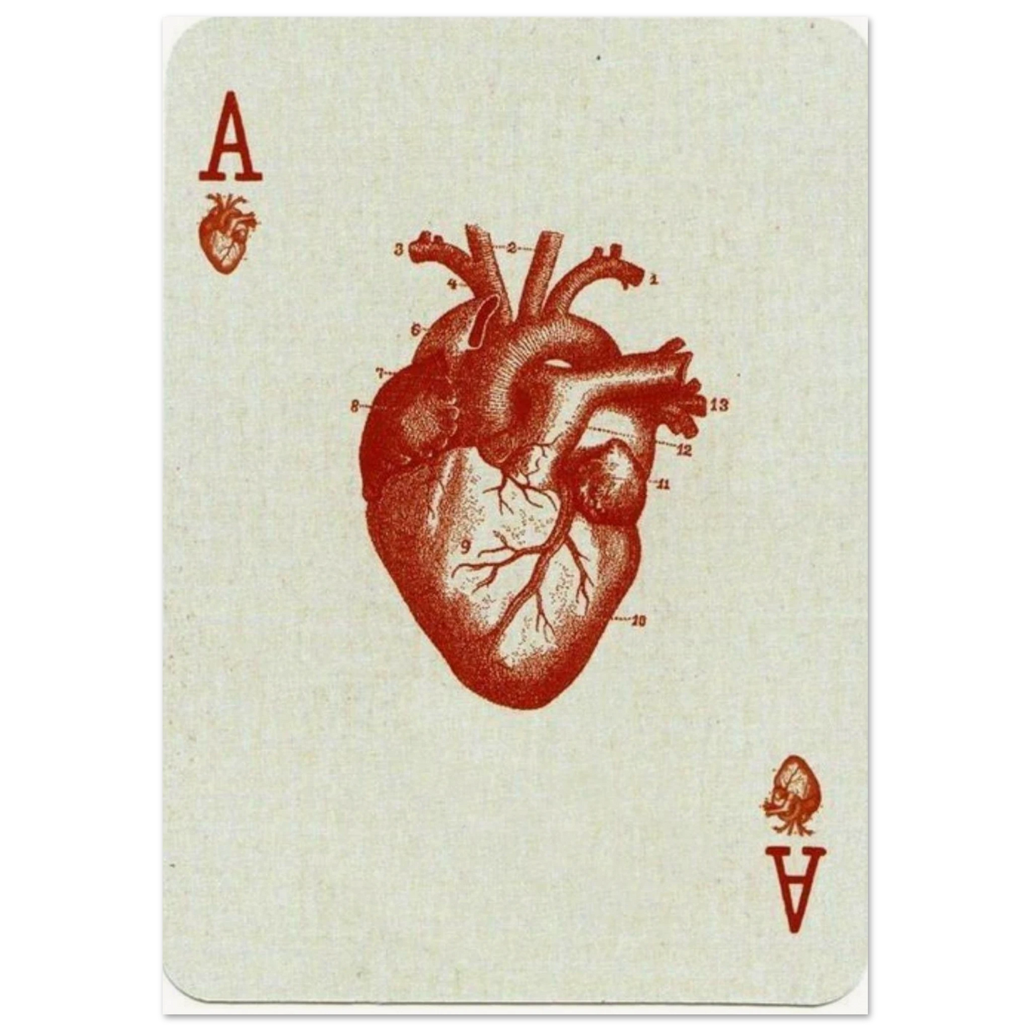 a78e9d25-01b7-45f3-8c56-49b42eb99762