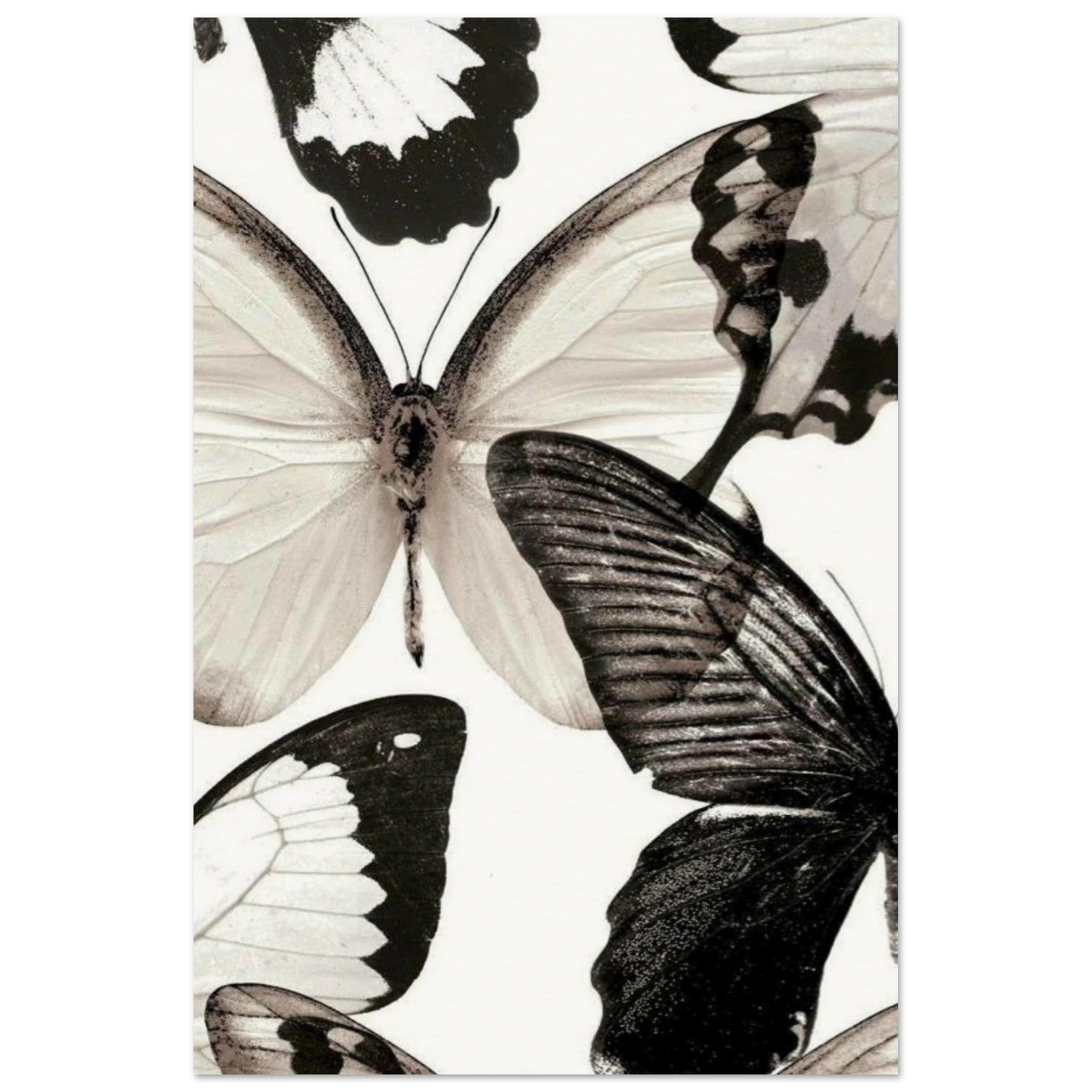 a9a1e3d4-aebb-4117-a4fd-4481a5003202