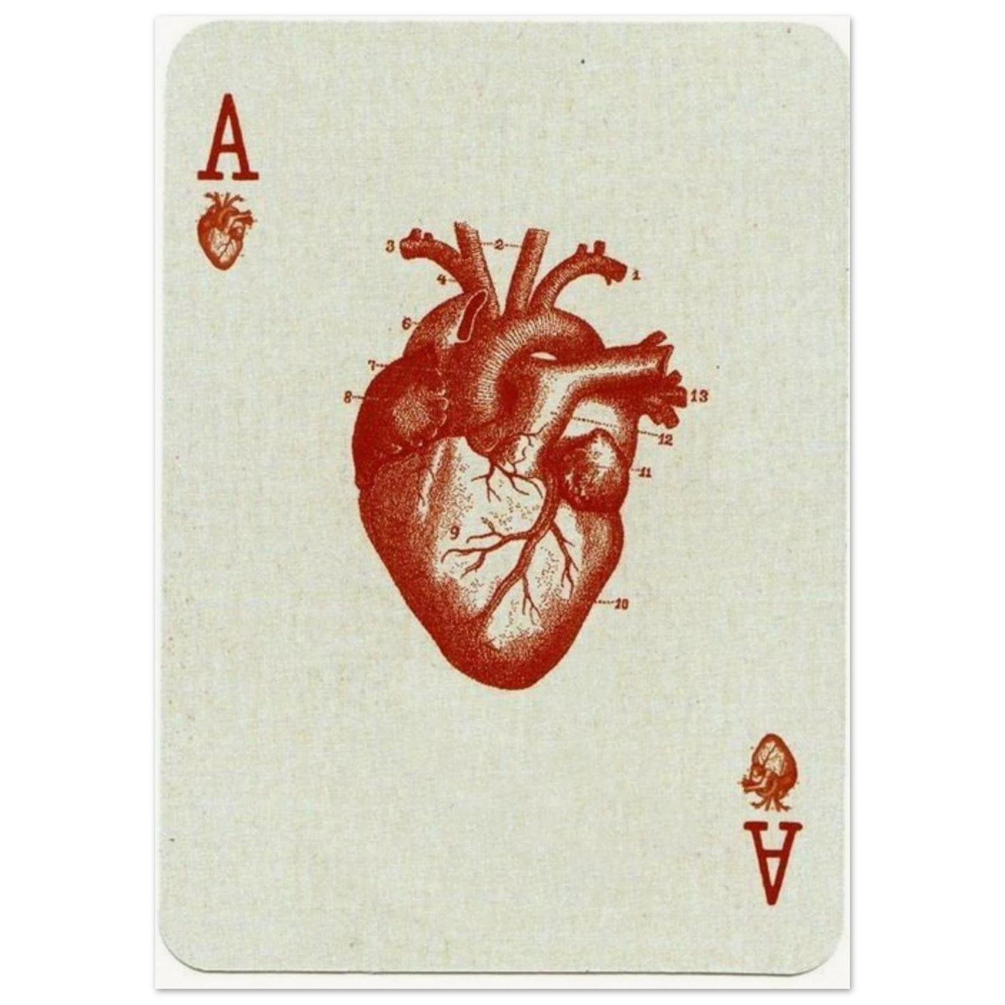 ba59be33-e3ba-4a35-8064-6a08a4a33187