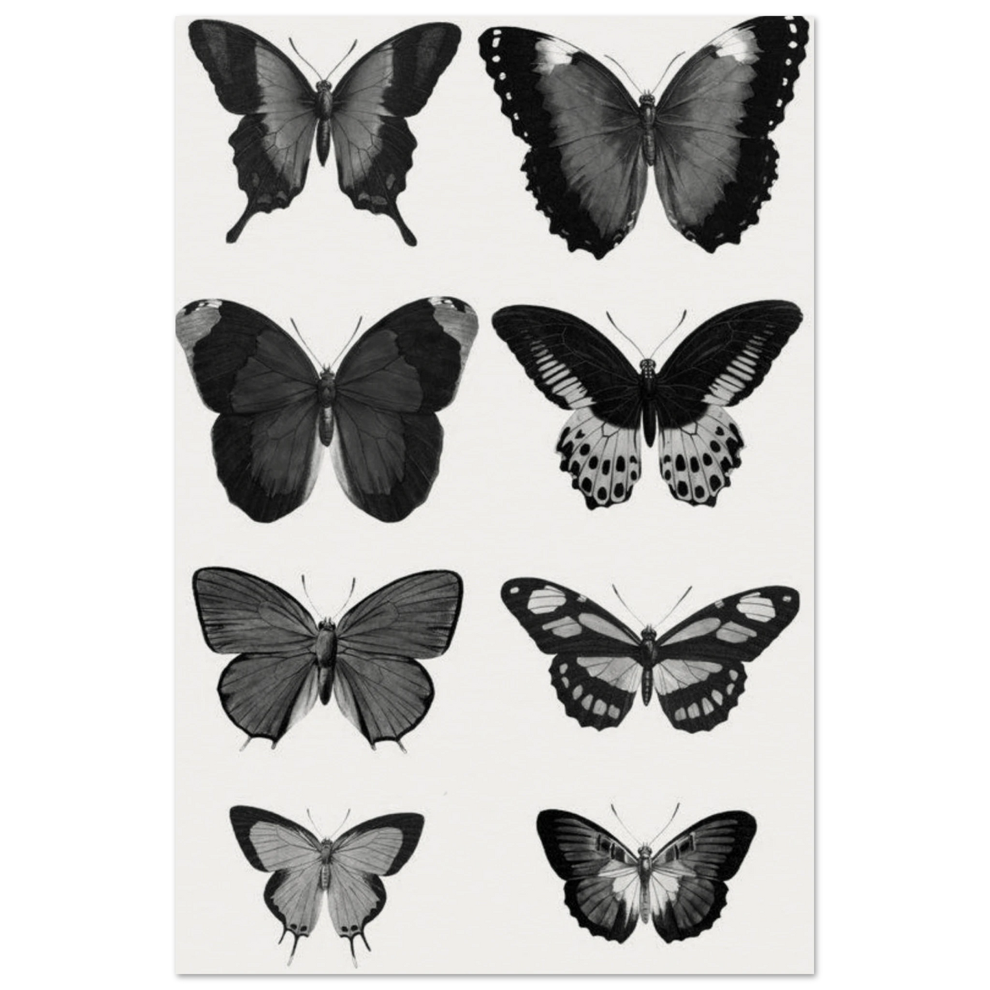 bf3f24df-2859-4a69-b03e-288b7f1ee625