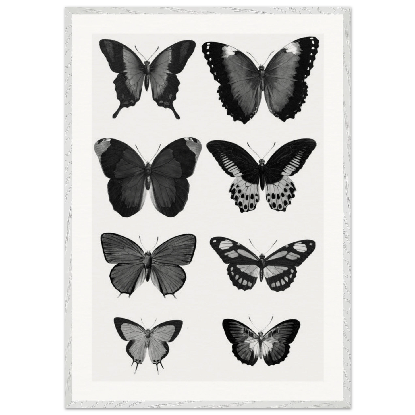 fa5715de-121f-460f-b166-fe152b80fdd1